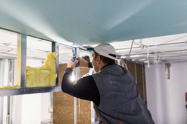 Best Spray Foam Insulation in Oologah, OK